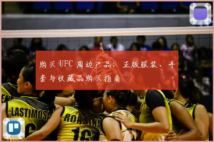 购买 UFC 周边产品:正版服装、手套与收藏品购买指南